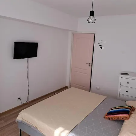 Apartament Titulescu/banu Manta Apartment