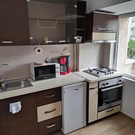 Apartament Titulescu/banu Manta Apartment *